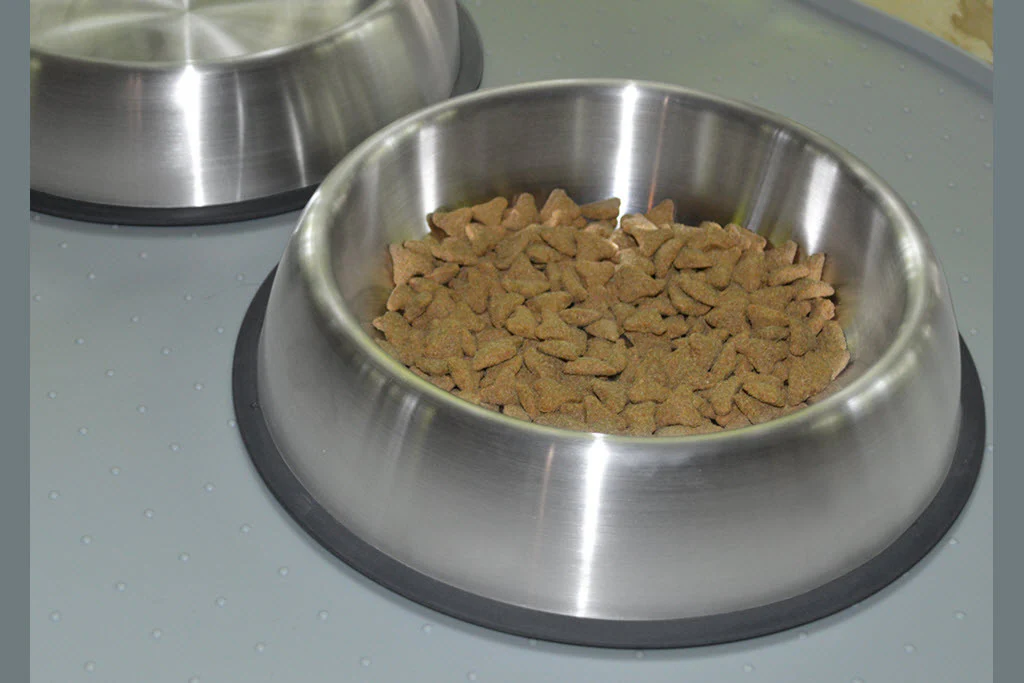 NEW PRODUCT LAUNCH - PREMIUM BRUSHED ANTI-TIP DOG BOWL