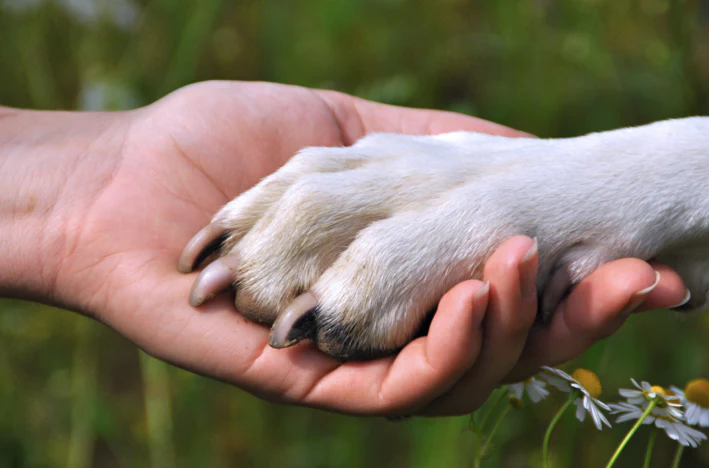 Don't Forget Their Hugs: Affection From You Makes a Difference! Part 9 of 9