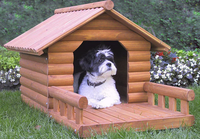 Spoiled or Practical?-Selecting the Best Dog House