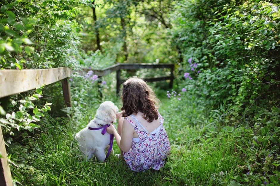Pet Insect Bites: The First Day of Spring Is Coming!