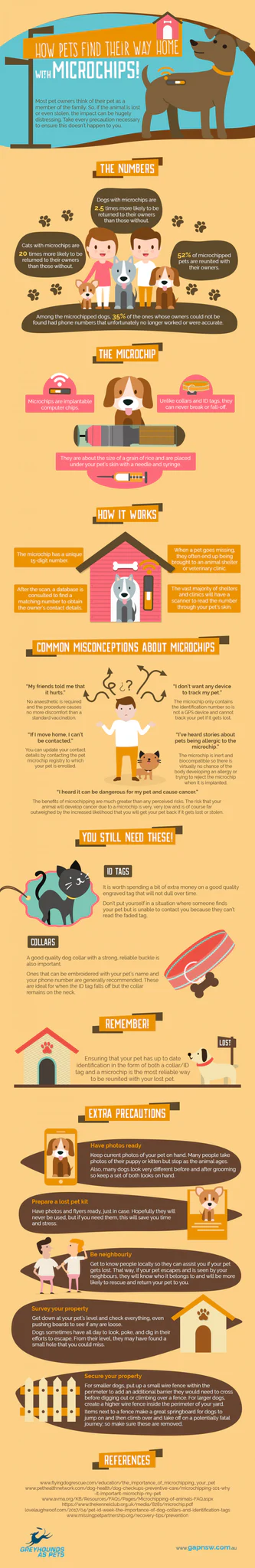 microchip your dog