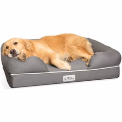PetFusion Ultimate Pet Bed & Lounge Prem Edition in Solid Memory Foam - PetFusion