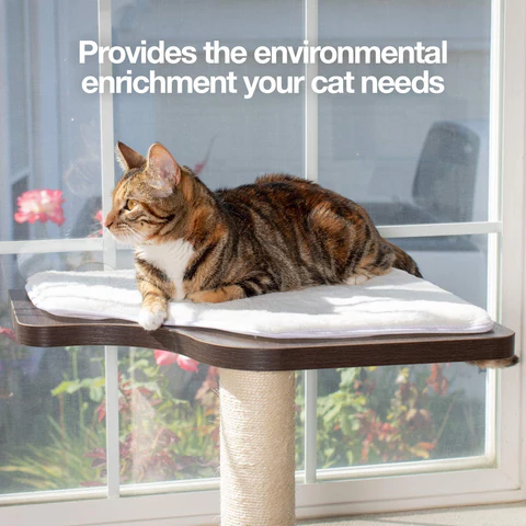 PetFusion Ultimate Cat Window Climbing Perch 45” Tall (Tree Sisal Scratching Posts, Modern Design Simply Suctions to Window. (Easy to Assemble) 1 Year Warranty for Manufacturer Defects - PetFusion