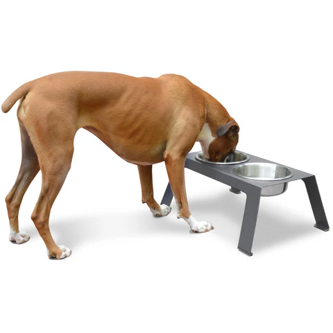 PetFusion Raised Pet Feeder in Premium Anodized Aluminum - PetFusion