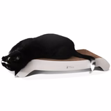 PetFusion Cat Scratcher FLIP. In Standard PAD and Large LOUNGE - PetFusion