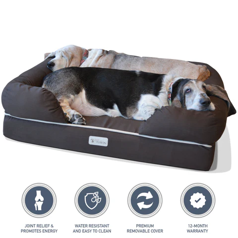 Pamper your dog with a memory foam dog bed this National Pet Month