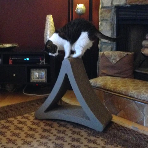 Your cat will love this vertical cat scratcher this National Pet Day