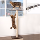 PetFusion Ultimate Cat Window Climbing Perch 45” Tall (Tree Sisal Scratching Posts, Modern Design Simply Suctions to Window. (Easy to Assemble) 1 Year Warranty for Manufacturer Defects